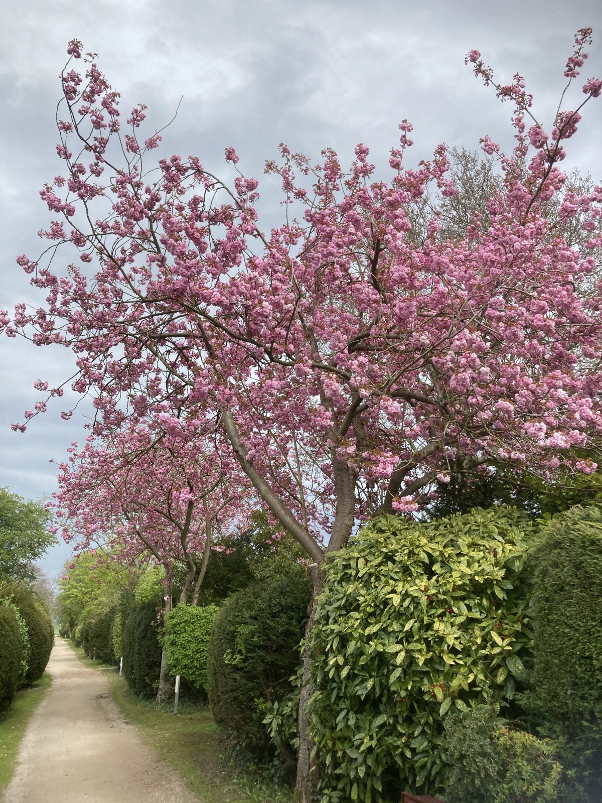 Overnachten Groet bij Bungalowpark Carpe Diem