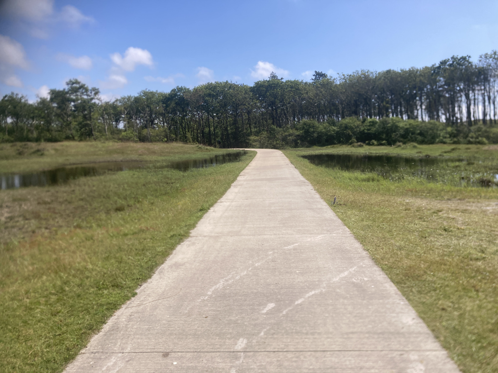 Bungalowpark bij Petten aan de Schoorlse Duinen