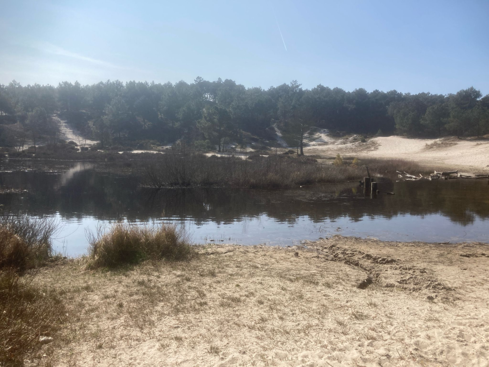 Gewoon buiten in Groet bij Camperduin