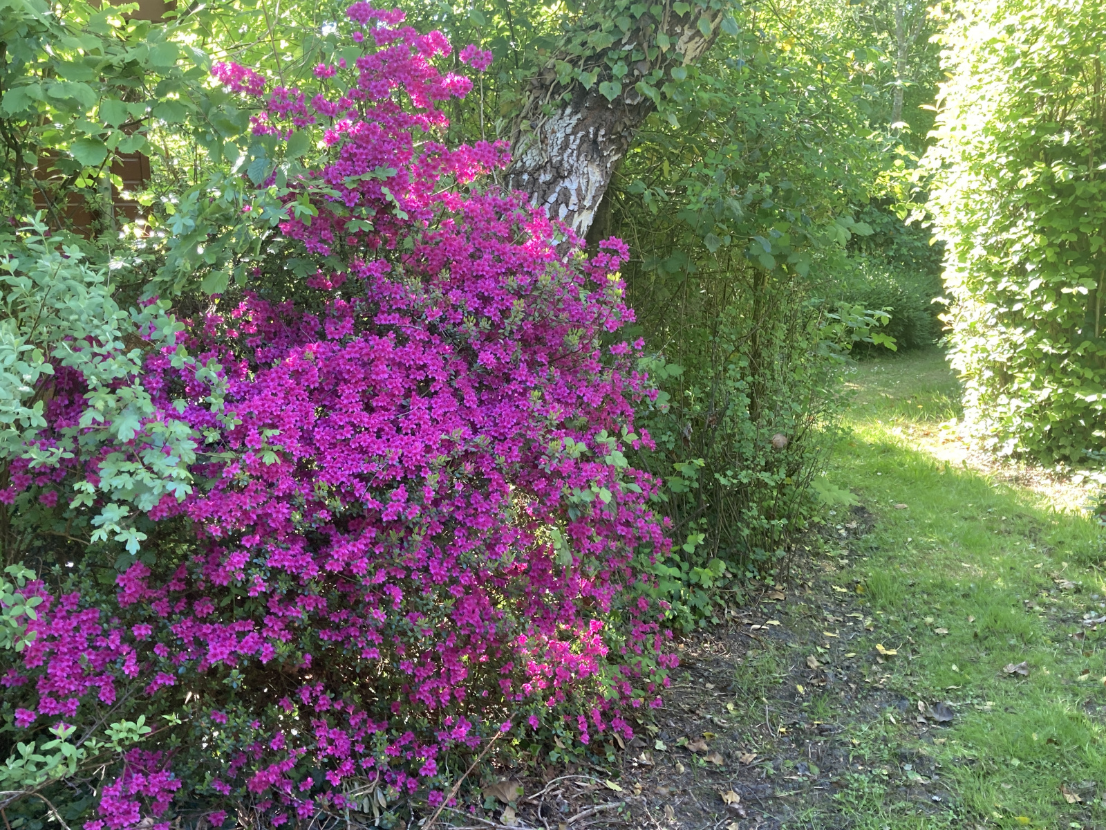 Overnachten in Groet bij Bungalowpark Carpe Diem