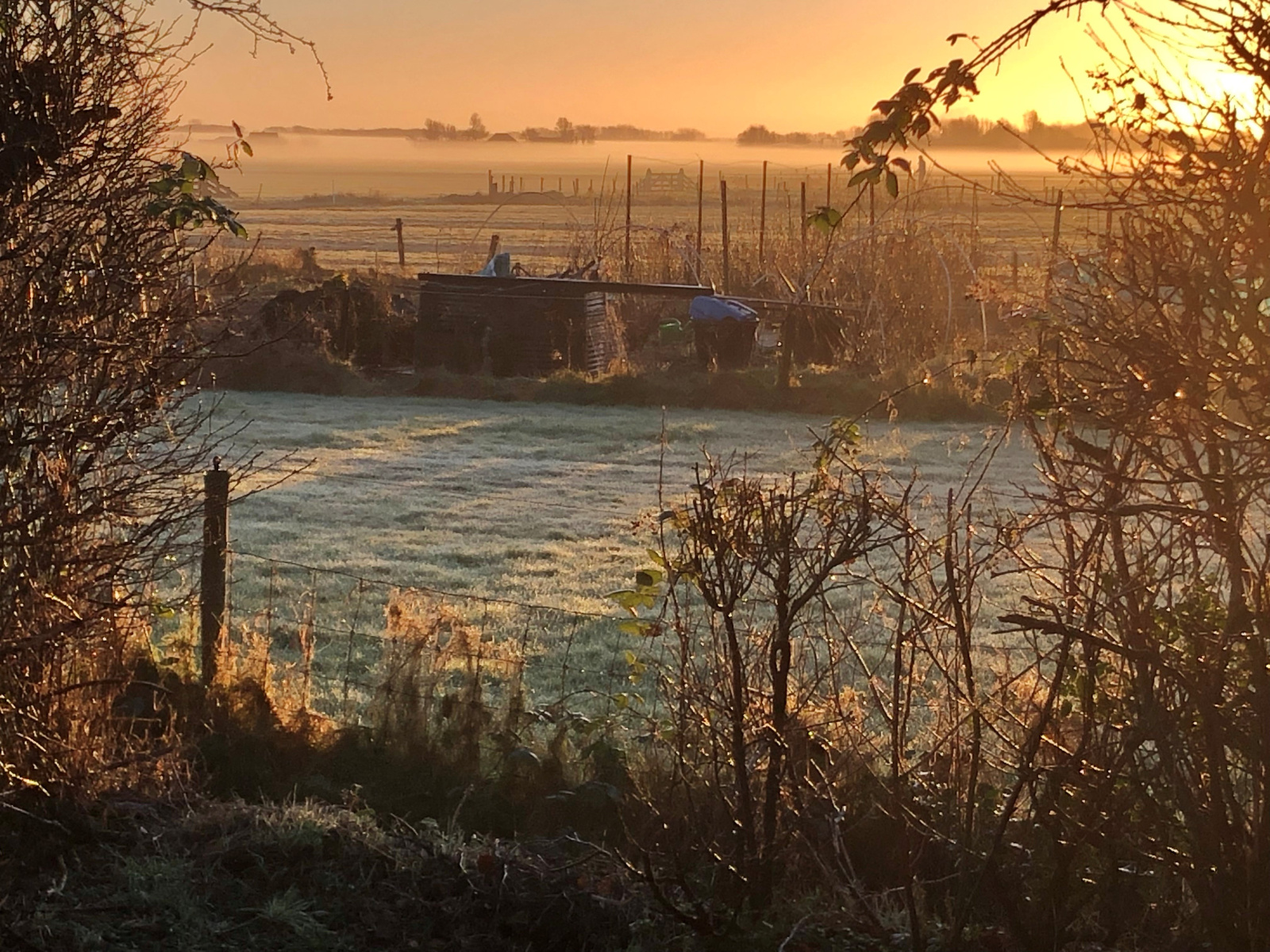 Bungalowpark bij Alkmaar