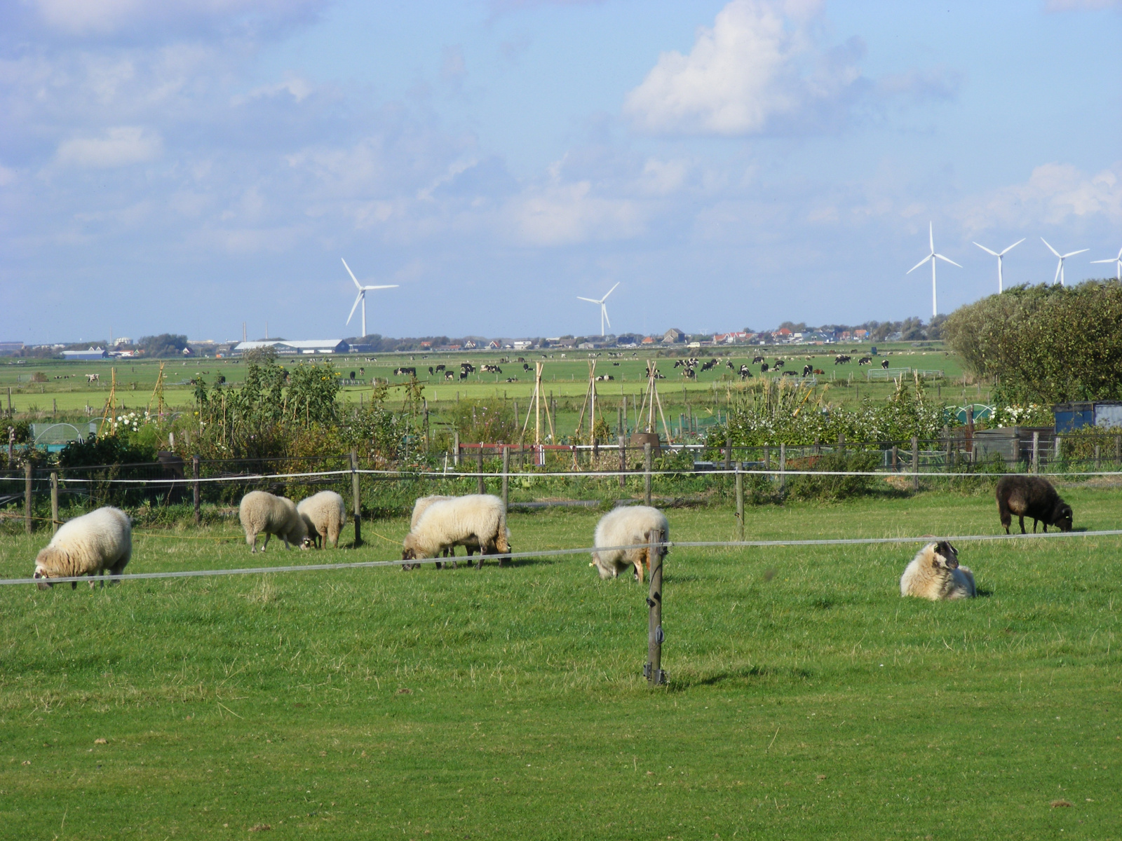 Groepsaccommodatie in Noord-Holland voor 20 personen