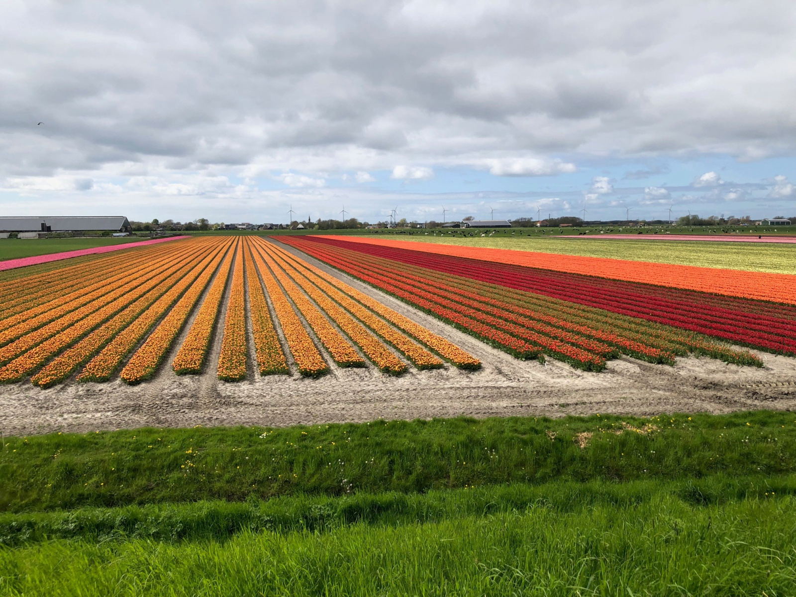 Groepsaccommodatie in Noord Holland bij de Schoorlse Duinen