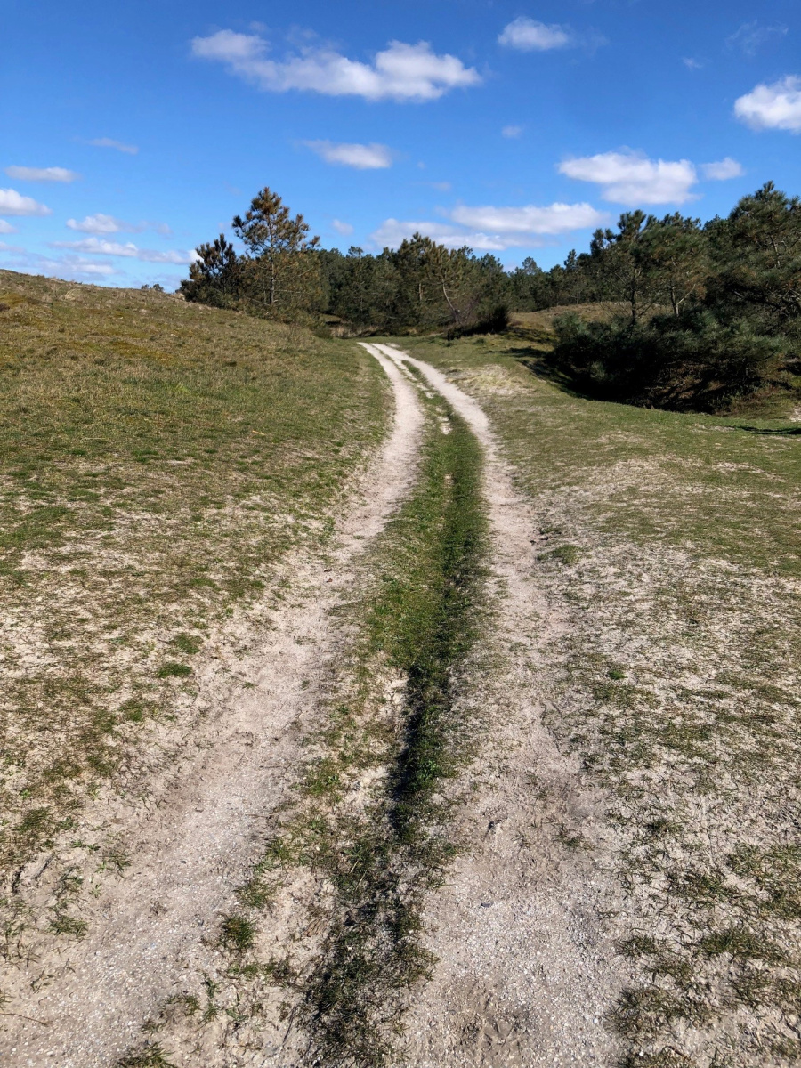 Hardloopweekend in Noord Holland bij de Schoorlse Duinen