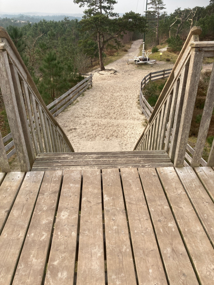 Solo op vakantie bij Carpe Diem naar de Schoorlse Duinen